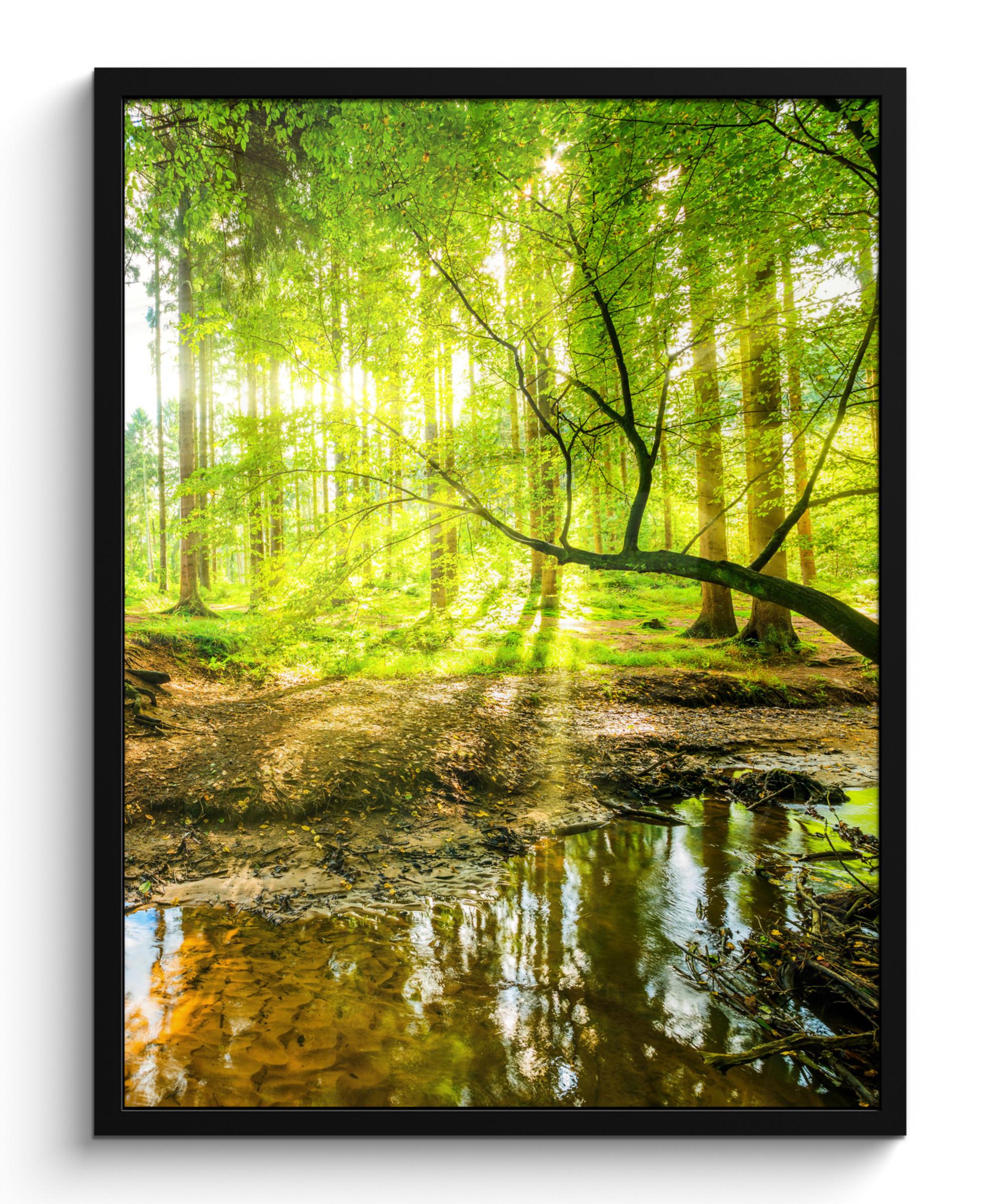 POSTER MIT RAHMENGERAHMTES BILD Wald - Landschaft - Wasser - Bäume - Sonne - Grün - Natur Posterleiste 60x80 cm - Grün, Papier (60/80cm) - MuchoWow