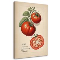 WANDBILD obst vintage tomate - Beige, Textil (40/60cm) - Feeby