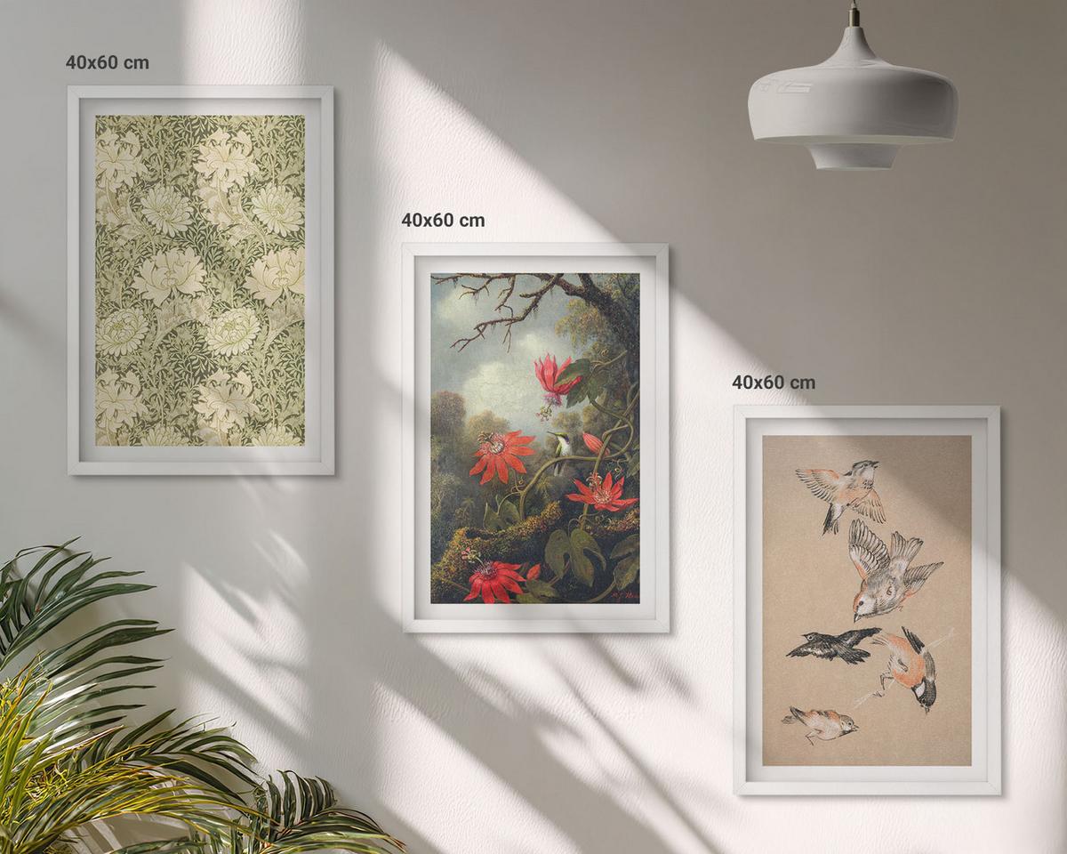BILDER SET 3er Set - 40x60 cm Weißer Rahmen - Blumen, Vögel, Natur - Weiß, Kunststoff (40/60cm) - TULUP