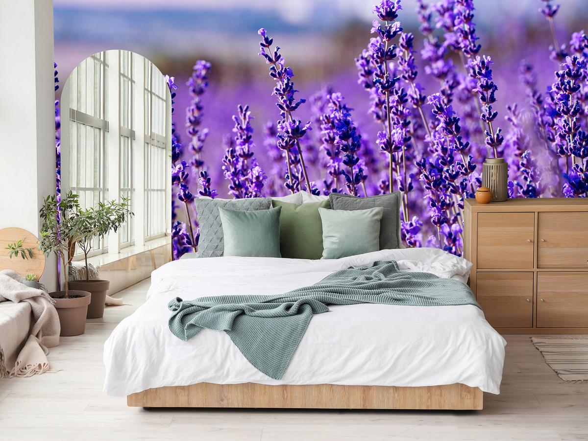 FOTOTAPETE für Schlafzimmer Lavendelfeld Blüten Provence 150x105 - Violett, Papier (150/105cm) - Muralo