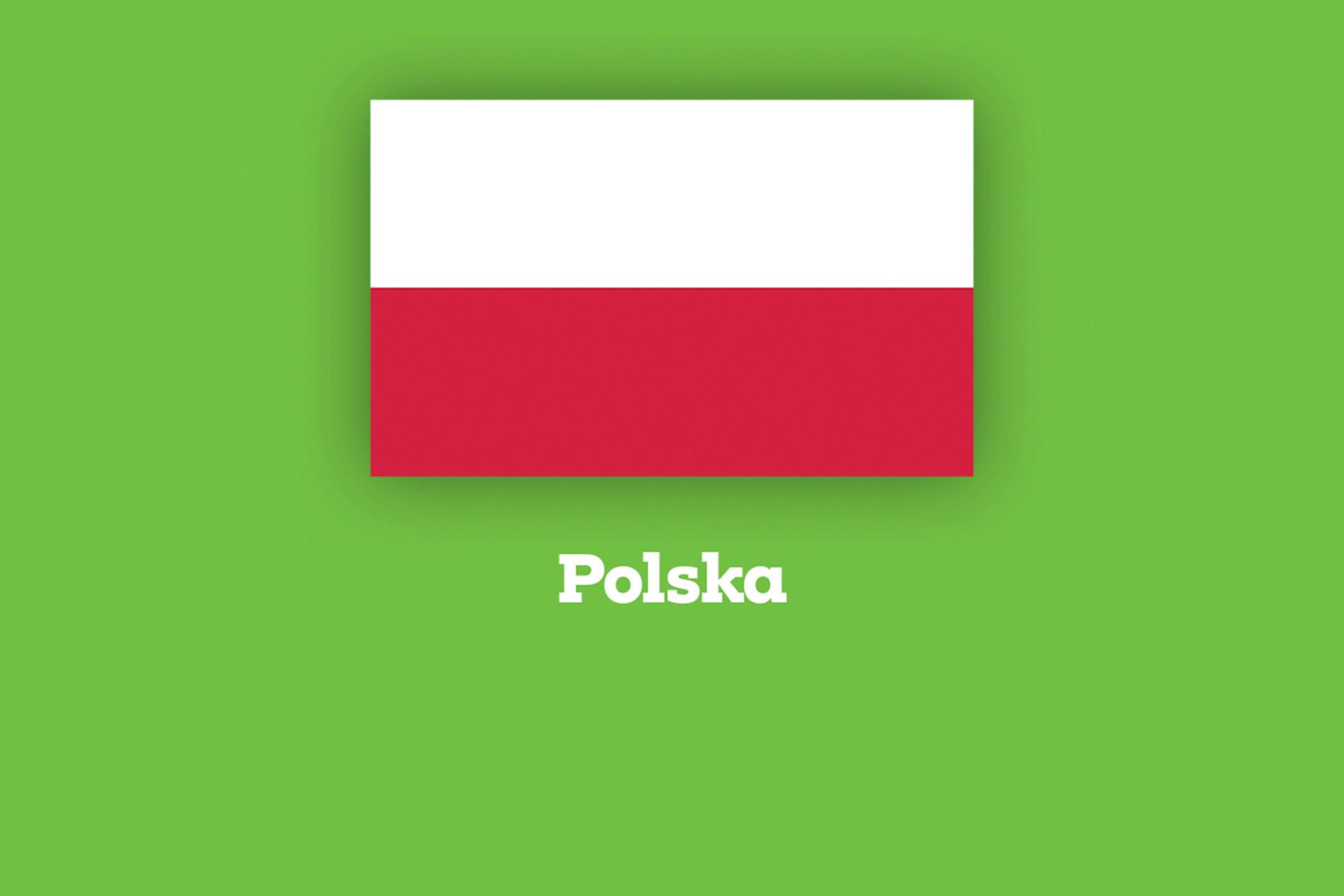 teaser-flagge-pl.png