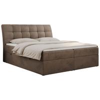 BOXBETT DIEGOS 180/200 Braun Velvet - H4 - Braun, Holz/Textil (180/200cm) - MKS