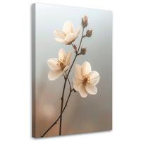 BILD auf Leinwand, Beige Blumen Zweig Botanik - Beige, Textil (30/45cm) - Feeby