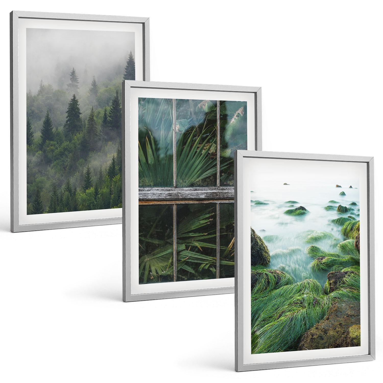 BILDER SET 3er Set - 40x60 cm Silberner Rahmen - Waldnebel, Flussufer, Gewächshaus - Silberfarben, Kunststoff (40/60cm) - TULUP