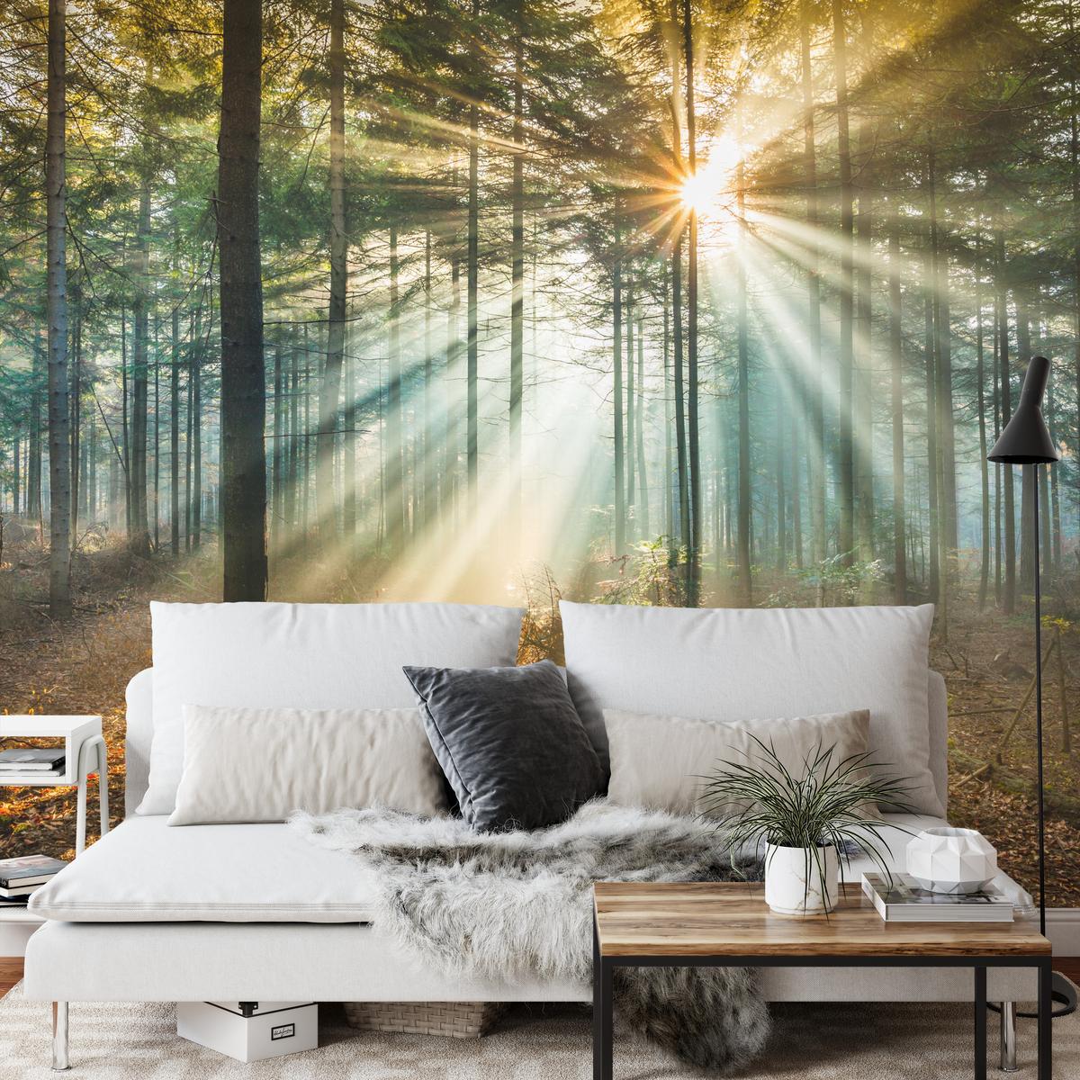FOTOTAPETE für Wohnzimmer Herbstwald Sonnenuntergang Bäume Natur 300x210 - Beige/Gelb, Papier (300/210cm) - Muralo