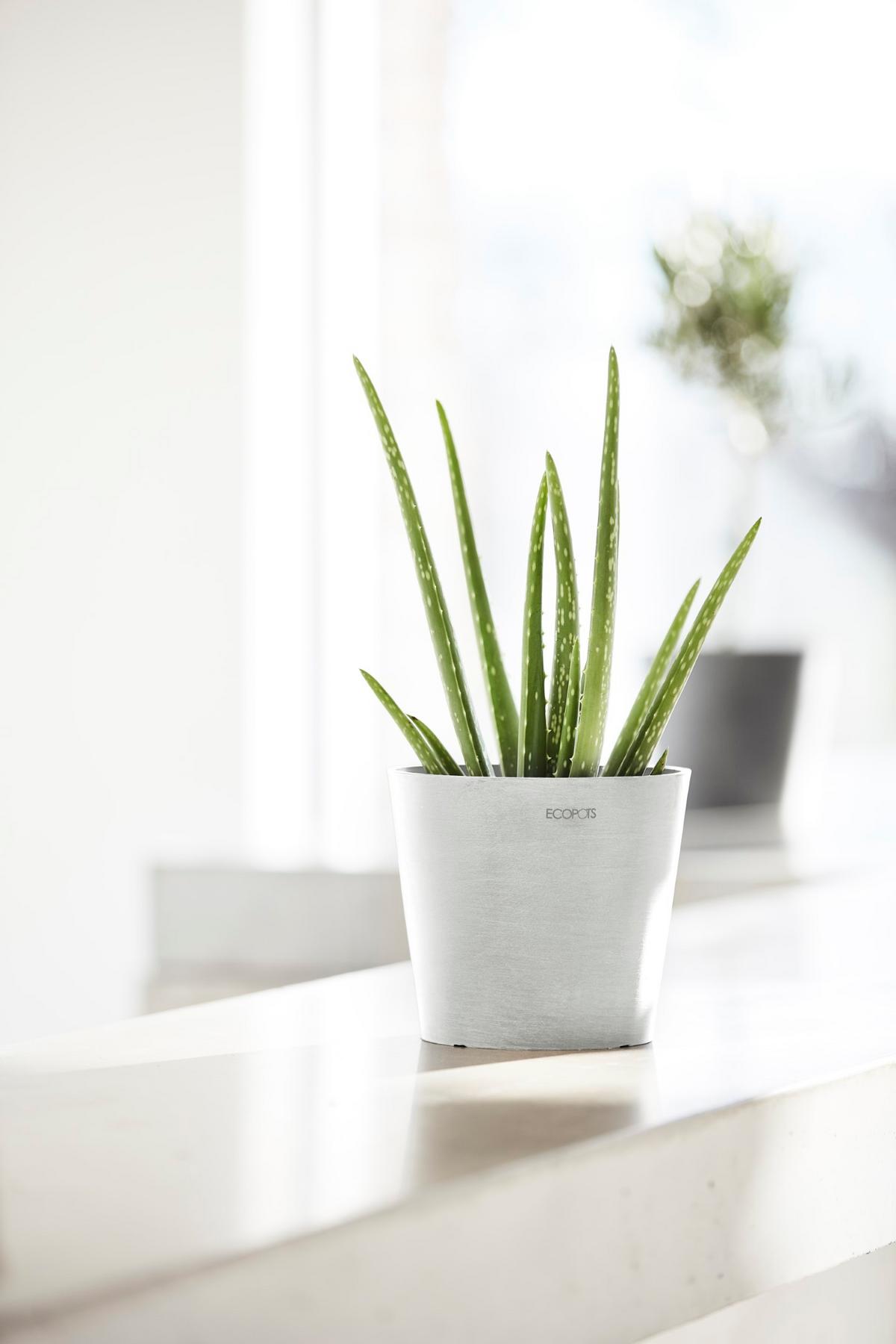 BLUMENTOPF Amsterdam 17/14,7 cm Weiß - Weiß, Kunststoff (17/14.7cm) - Ecopots