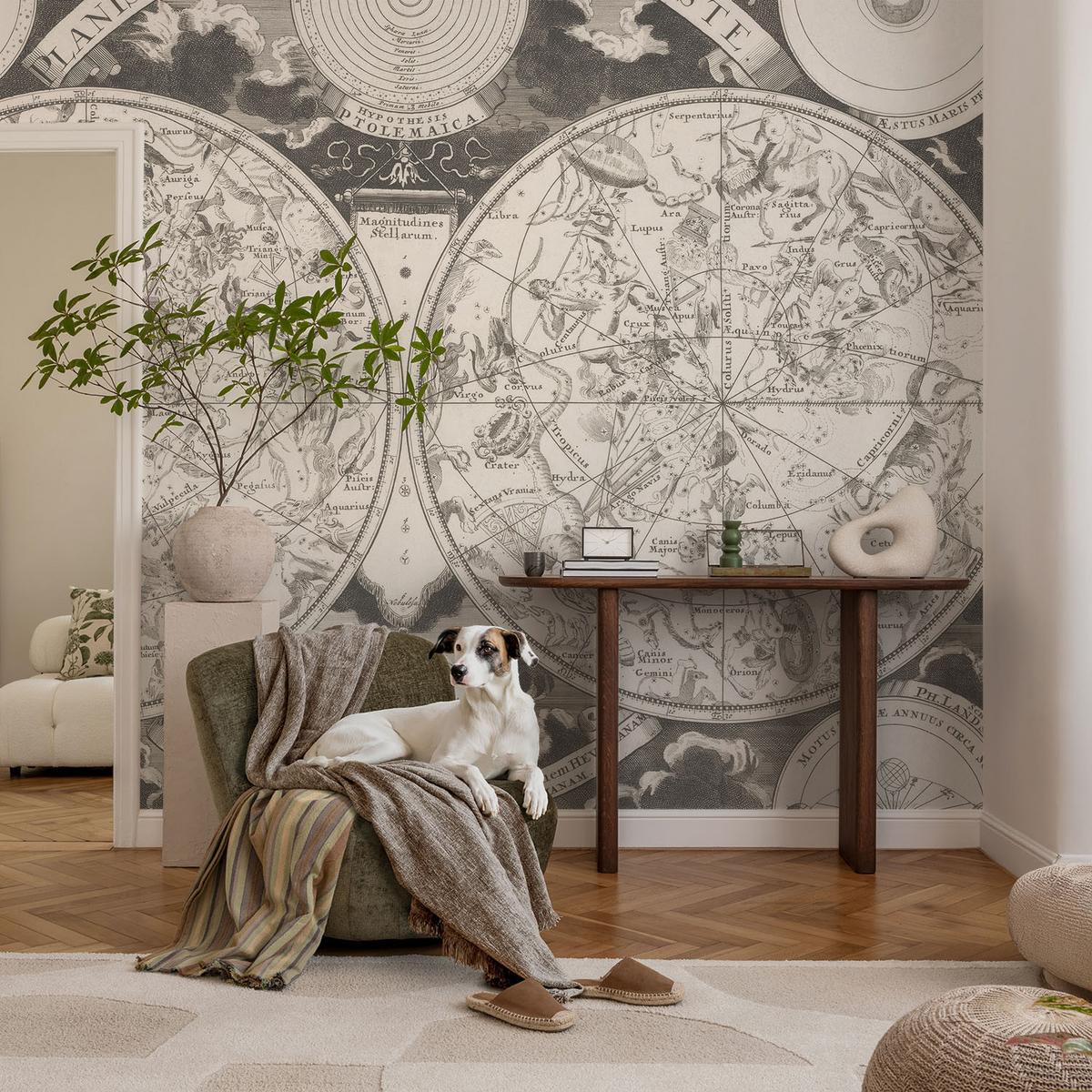 FOTOTAPETE 250x104 cm - Sternenkarte - Schwarz, Textil (250/104cm) - Wallfluent