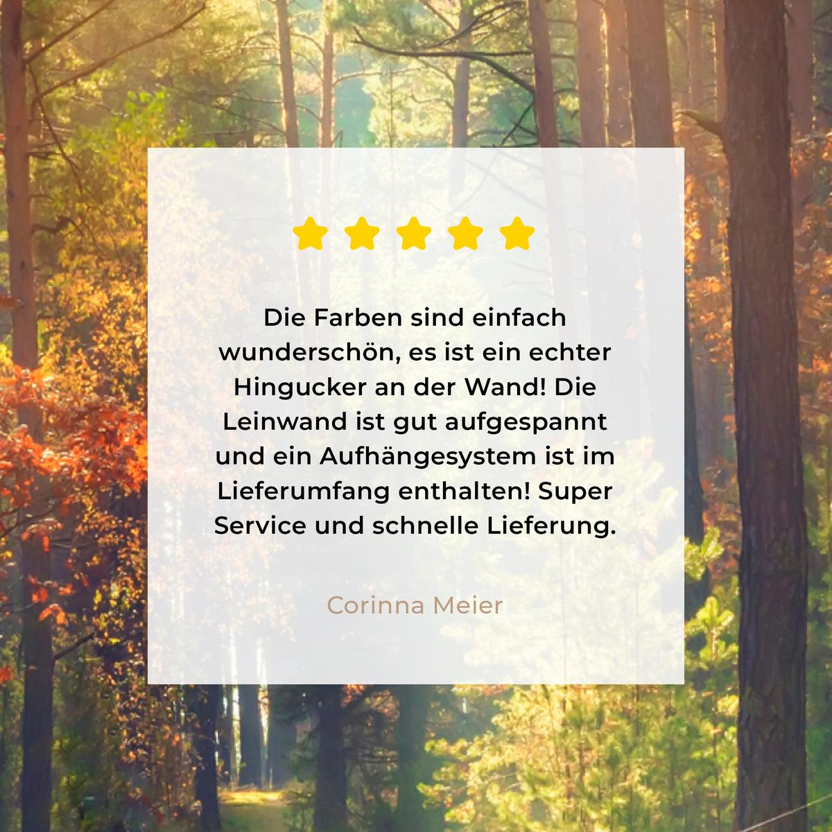 LEINWANDBILD Wald - Herbst - Bäume Room Decor 30x40 cm - Dunkelgrün, Textil (30/40cm) - MuchoWow