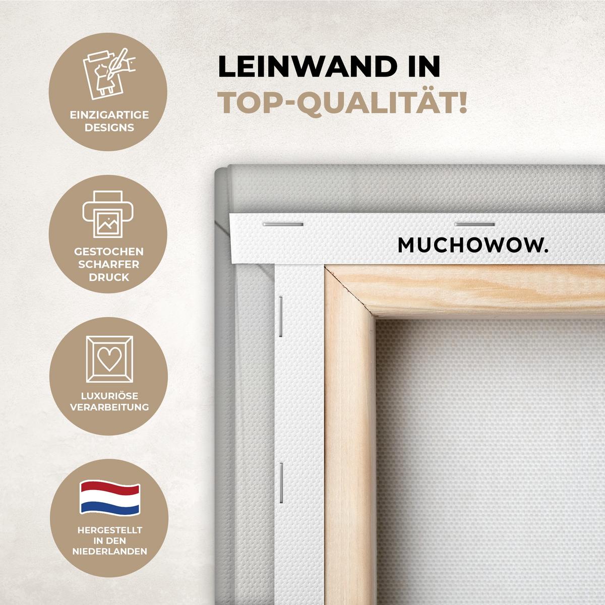 LEINWANDBILD Schottischer Highlander - Tier - Zeitung - Toilette Wanddeko Schlafzimmer 60x90 cm - Kastanienfarben, Textil (60/90cm) - MuchoWow