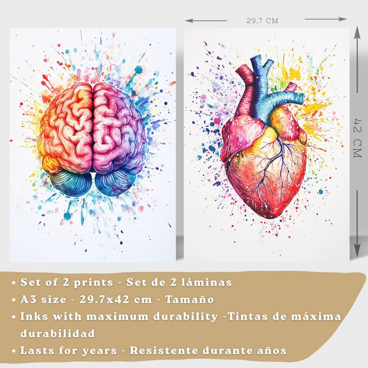 POSTER Set aus 2 Anatomie Drucke und Wandbilder mit Gehirn und Herz Künstlerische Mehrfarbig Aquarell Illustration Größe Leichter Holzrahmen A3 - Beige, Papier (29.7/42/3cm) - Nacnic