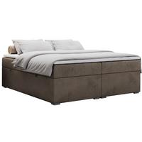BOXBETT BESS 200/200 Braun Velvet - H4 - Braun, Holz/Textil (200/200cm) - MKS