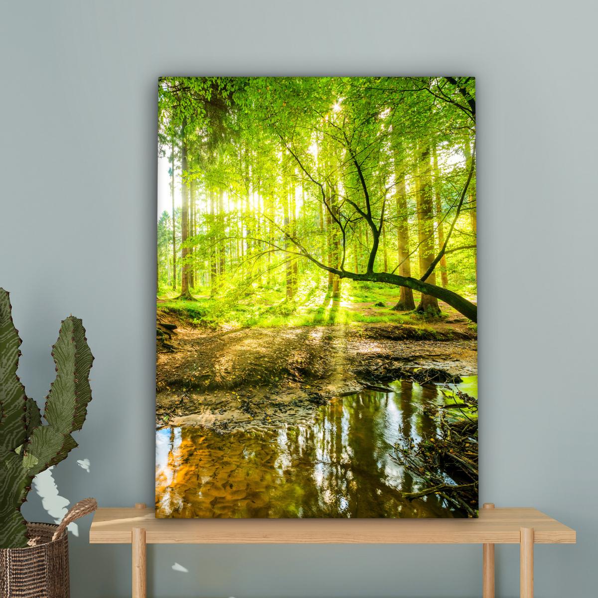 LEINWANDBILD Wald - Landschaft - Wasser - Bäume - Sonne - Grün - Natur Wandbild Wohnzimmer 60x80 cm - Grün, Textil (60/80cm) - MuchoWow