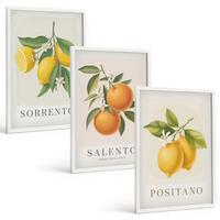 BILDER SET 3er Set - 40x60 cm Weißer Rahmen - Amalfi-Zitronen und -Orangen - Weiß, Kunststoff (40/60cm) - TULUP