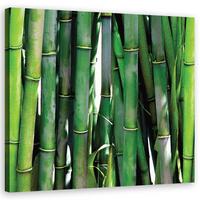 WANDBILD grüner bambus - Grün, Textil (50/50cm) - Feeby