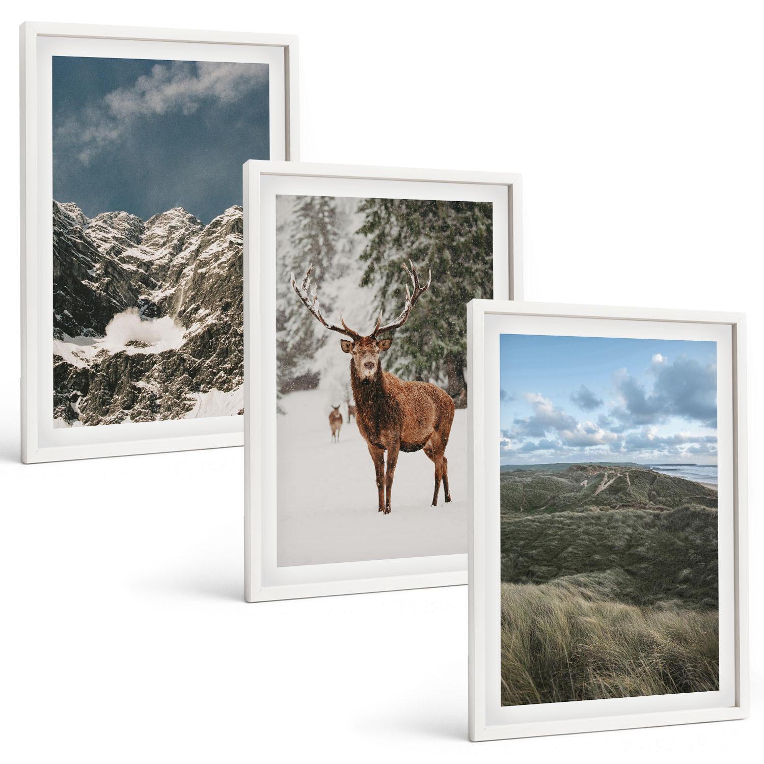 BILDER SET 3er Set - 40x60 cm Weißer Rahmen - Berge, Schnee, Hirsche, Waldlandschaft - Weiß, Kunststoff (40/60cm) - TULUP