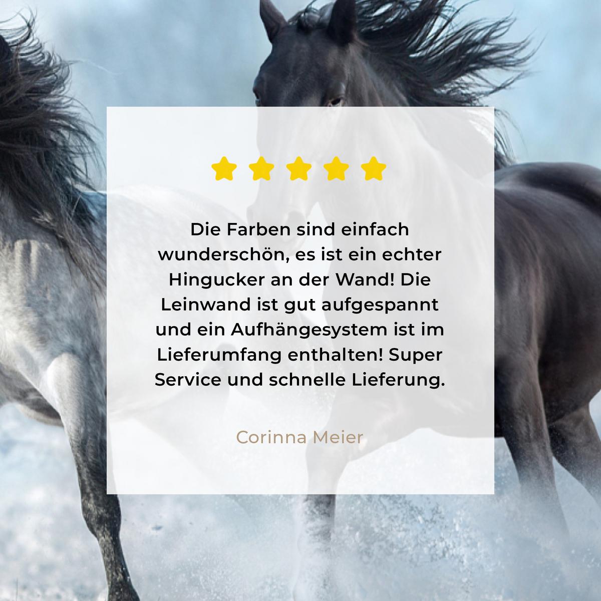 LEINWANDBILD Pferde - Winter - Tiere - Natur - Schnee Deko Groß 90x140 cm - Anthrazit, Textil (90/140cm) - MuchoWow