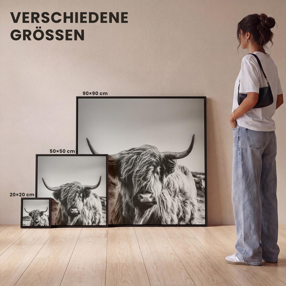 LEINWAND Bilder mit Rahmen - Kuh - Schottischer Hochländer - Schwarz - Weiß - Tier - Natur - Wildtiere - 50x50 - Schwarz, Textil (50/50cm) - MuchoWow