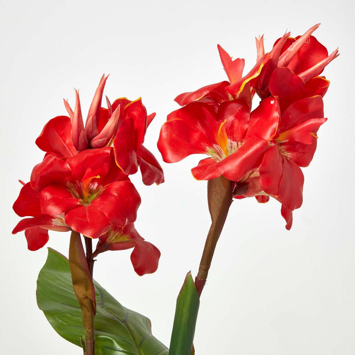 KUNSTBLUME Blumenrohr rot, 90 cm - Rot, Kunststoff (90cm) - Homescapes