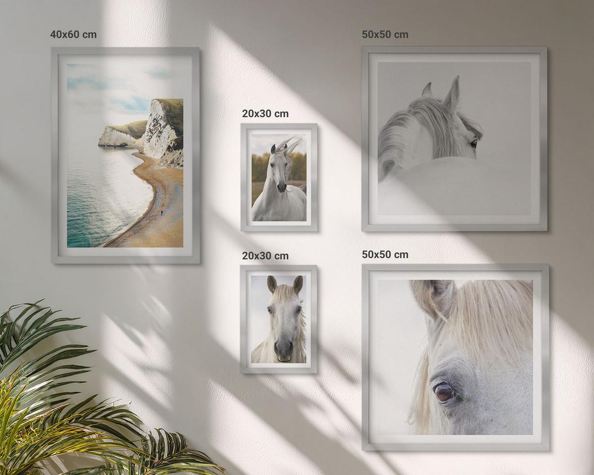 BILDER SET 5er Set - 50x50 cm & 20x30 cm & 40x60 cm Silberner Rahmen - Kontrastierende abstrakte Porträts - Silberfarben, Kunststoff (40/60cm) - TULUP