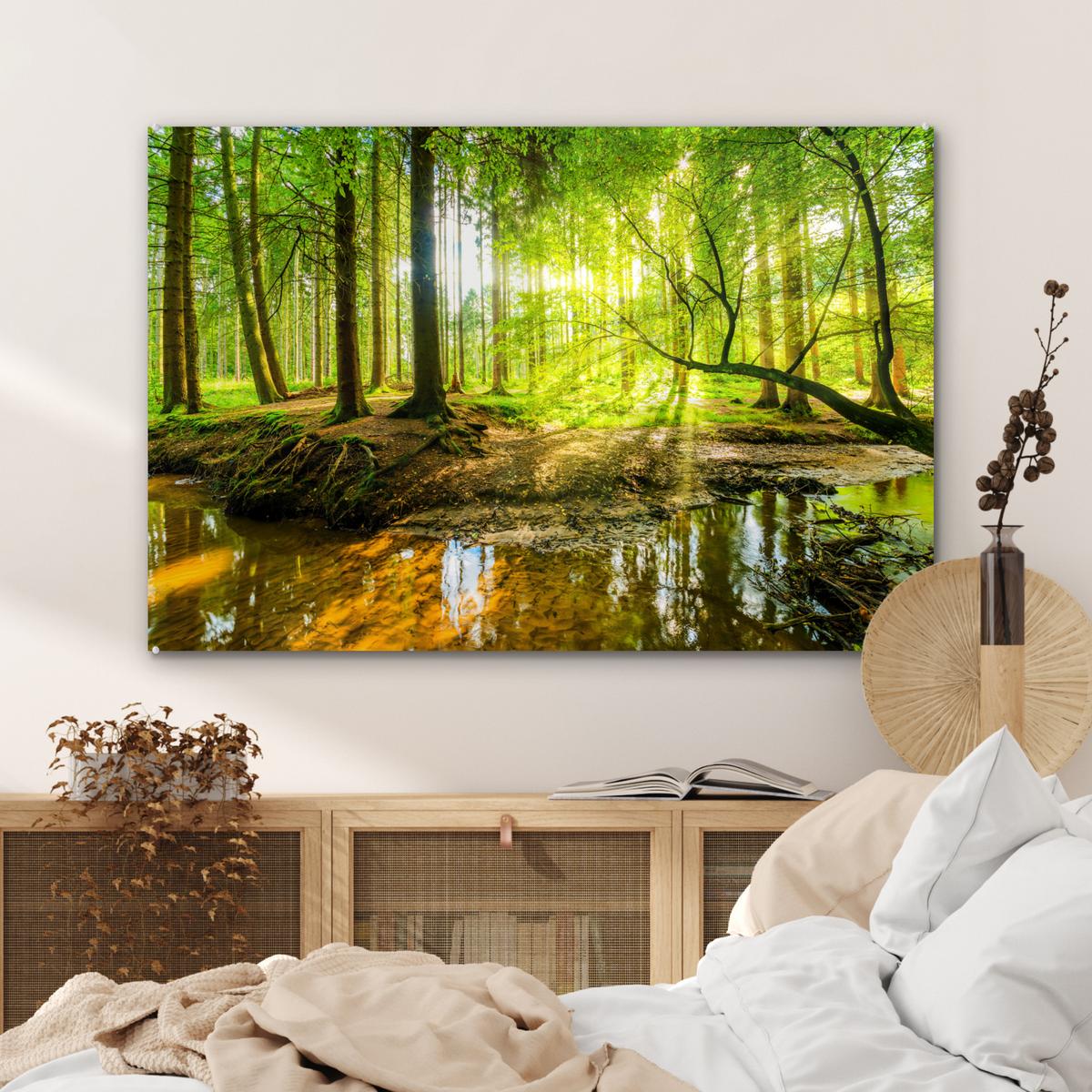 ACRYLGLASBILD Wald - Landschaft - Wasser - Bäume - Sonne - Grün - Natur Room Decor 90x60 cm - Grün, Glas (90/60cm) - MuchoWow