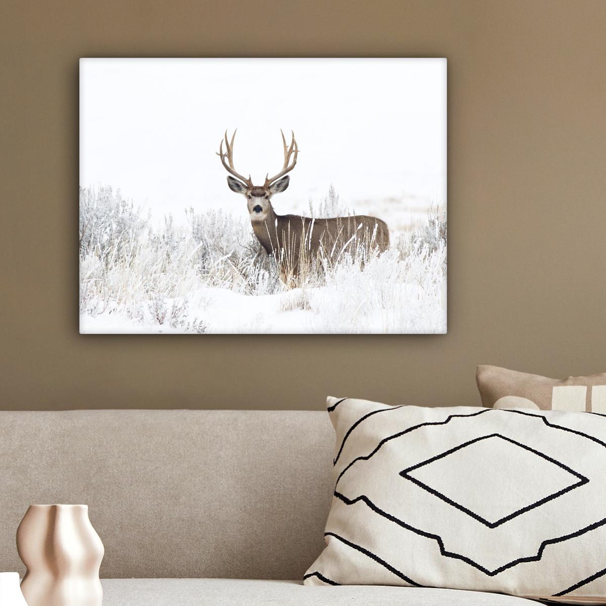 LEINWANDBILD Hirsche - Winter - Schnee - Tiere - Jahreszeiten - Weiß Wandbild 40x30 cm - Hellbraun, Textil (40/30cm) - MuchoWow