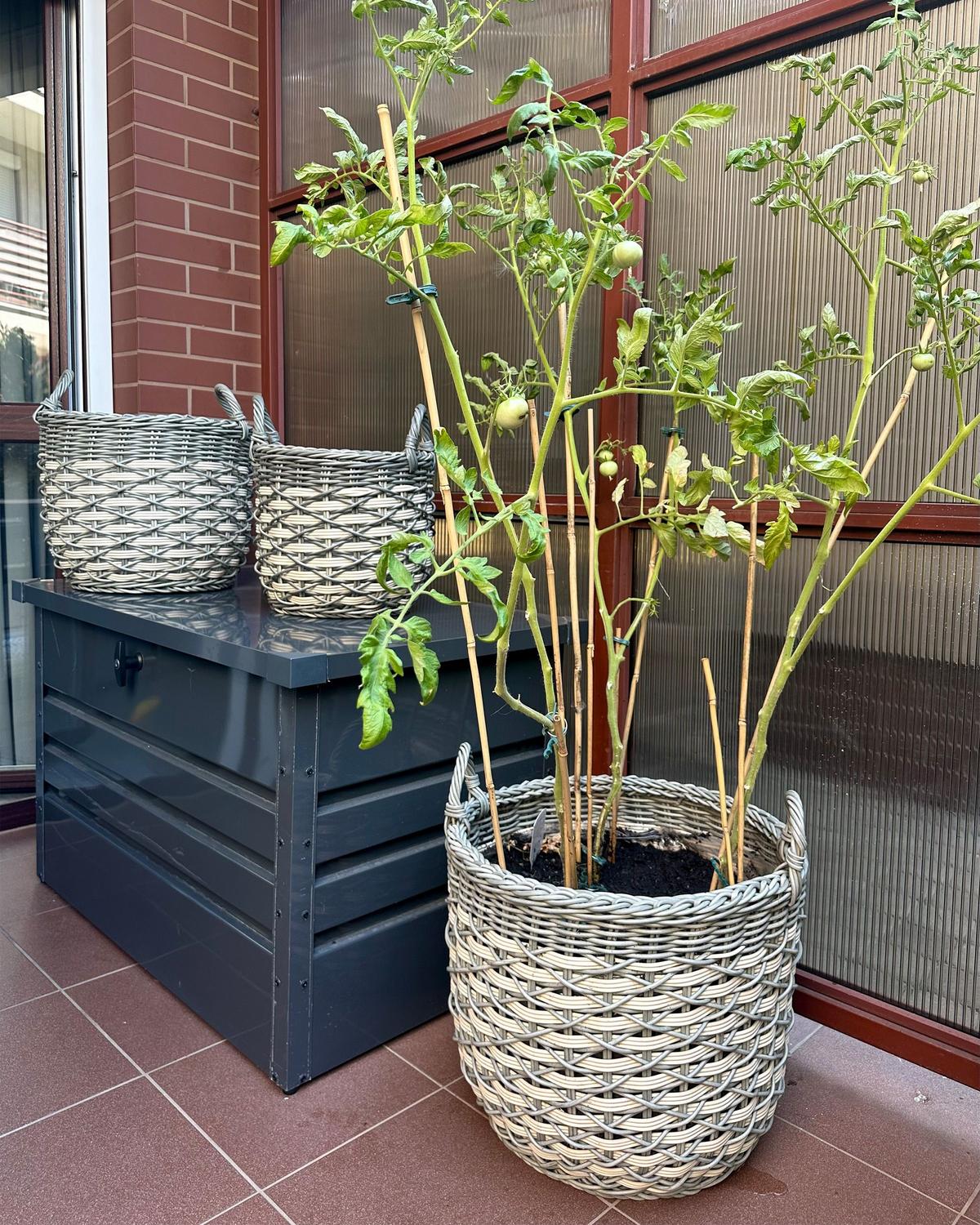 BLUMENKORB 3er-Set Rattan grau/weiß rund 49-37/39-30/31-24 cm Gefira - Weiß/Grau, Kunststoff (50cm) - Beliani