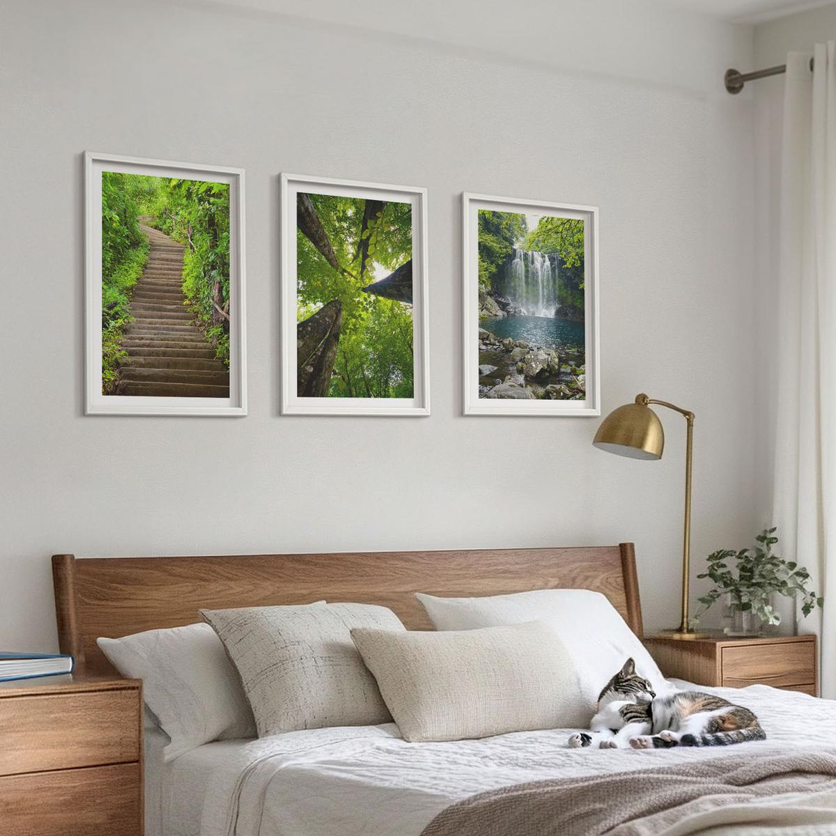 BILDER SET 3er Set - 40x60 cm Weißer Rahmen - Pfad Wald Wasserfall Vegetation - Weiß, Kunststoff (40/60cm) - TULUP