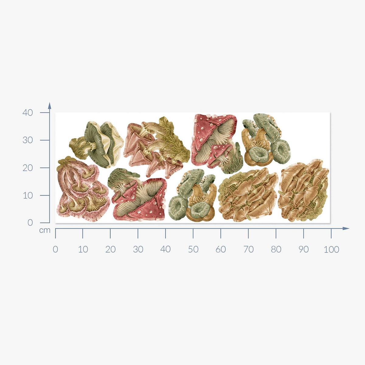 WANDAUFKLEBER 100x40cm - Pilzwiese - Multicolor, Kunststoff (100/40/0.1cm) - Wallfluent