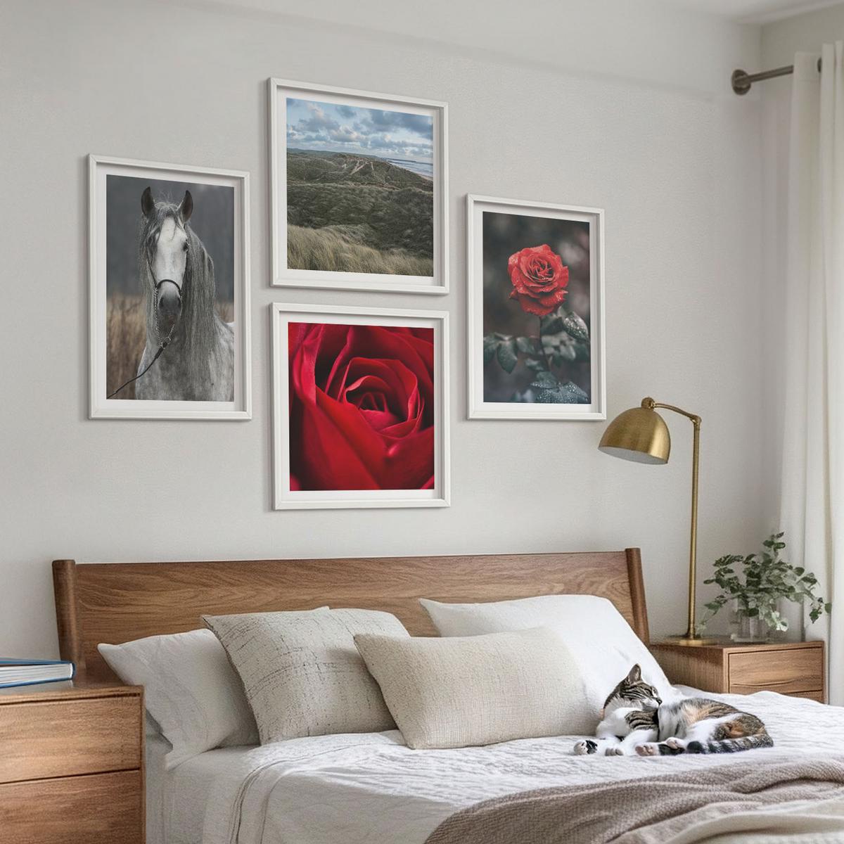 BILDER SET 4er Set - 50x50 cm & 40x60 cm Weißer Rahmen - Rote Rosen auf pferdegrauem Hintergrund - Weiß, Kunststoff (50/50cm) - TULUP