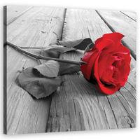 WANDBILD rote rose - Rot, Textil (50/50cm) - Feeby