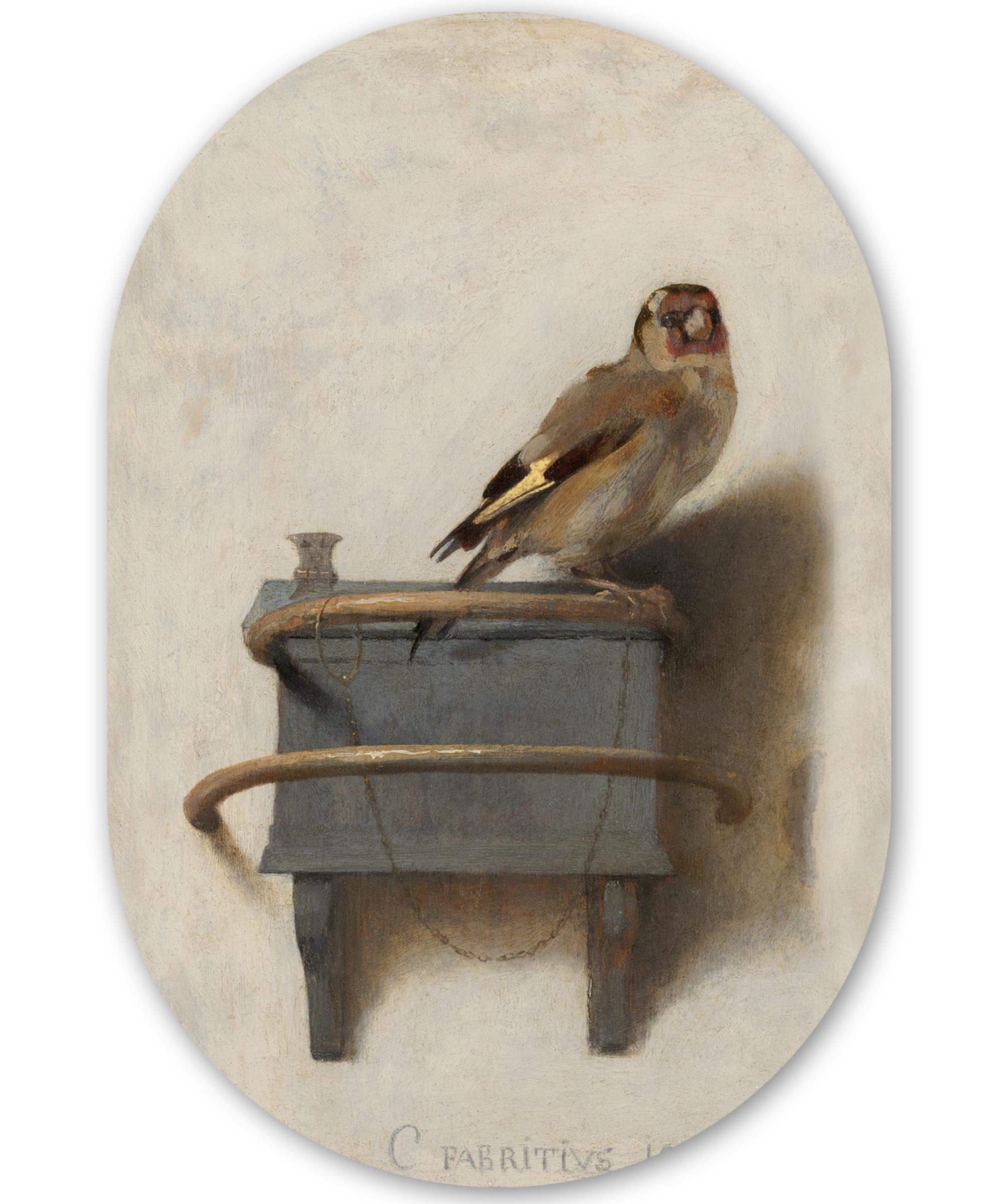 WANDBILD Stieglitz - Alter Meister - Carel Fabritius Deko Wohnzimmer 40x60 cm - Grau, Kunststoff (40/60cm) - MuchoWow