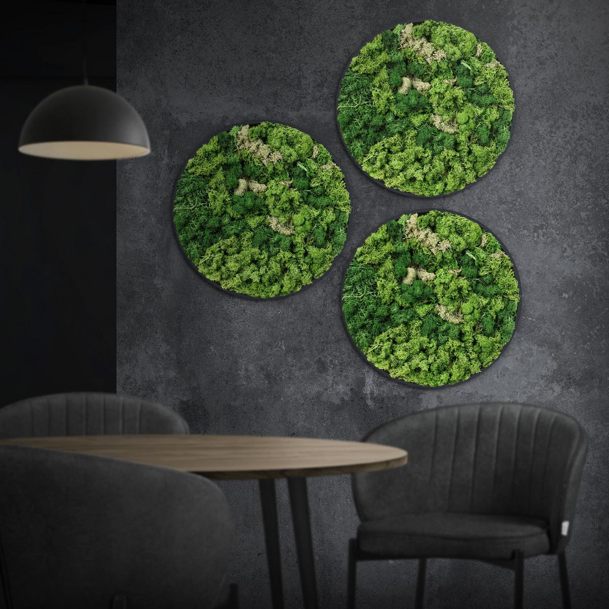 MOOSBILD Rund Ø 40 cm Mooswand Indoor mit Echtem Islandmoos und Holzrahmen Grün Pflegefrei - Salbeigrün, Naturmaterialien (40/40/3cm) - ECD-Germany