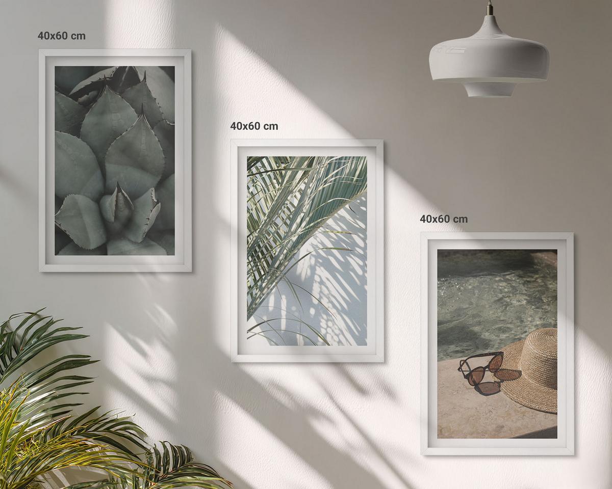 BILDER SET 3er Set - 40x60 cm Weißer Rahmen - Tropische Pflanzen für den Urlaub - Weiß, Kunststoff (40/60cm) - TULUP