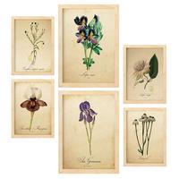 POSTER Set Mit 6 Vintage Blumen Sammlung A3 & A4 Rahmen Aus Hellem Holz - Beige, Papier (29/3cm) - Nacnic