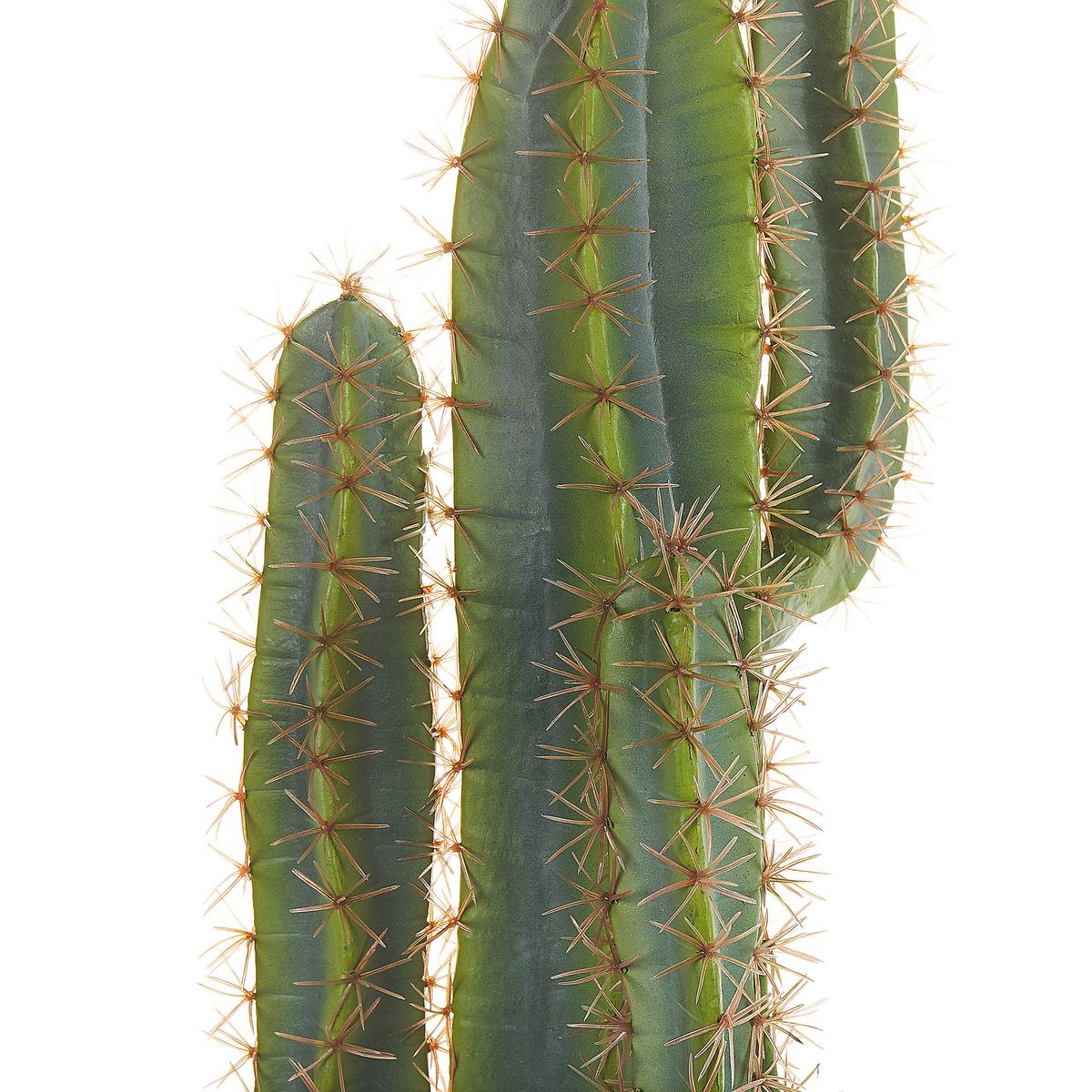 KUNSTPFLANZE Grün Cactus - Schwarz/Grün, Kunststoff (78cm) - Beliani