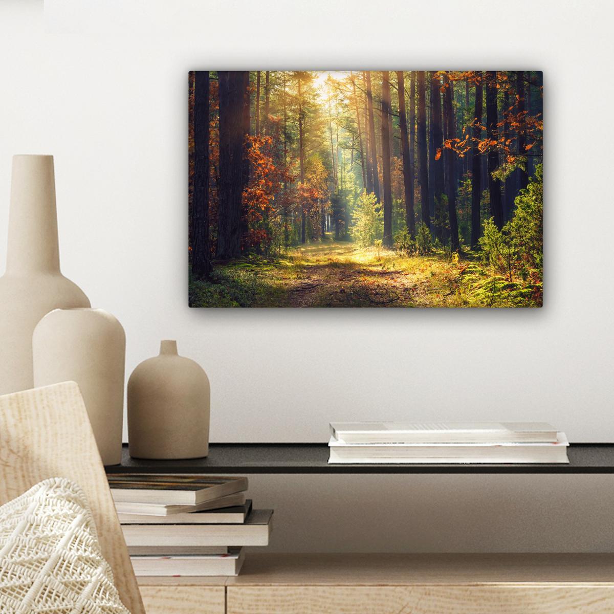 LEINWANDBILD Wald - Herbst - Bäume Deko Schlafzimmer 30x20 cm - Dunkelgrün, Textil (30/20cm) - MuchoWow