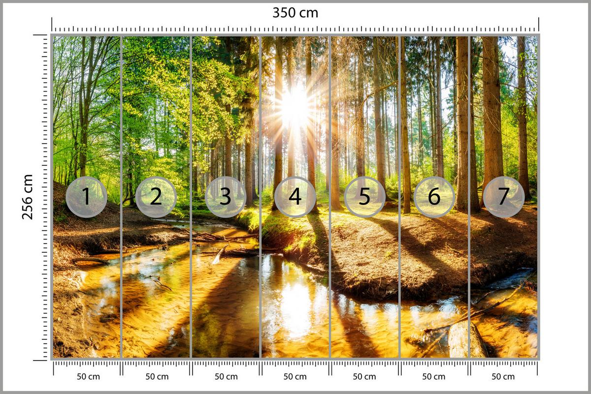 FOTOTAPETE für Wohnzimmer Pflanzen Natur Gras Sonniger Wald Bäume 350x256 - Multicolor, Papier (350/256cm) - Muralo