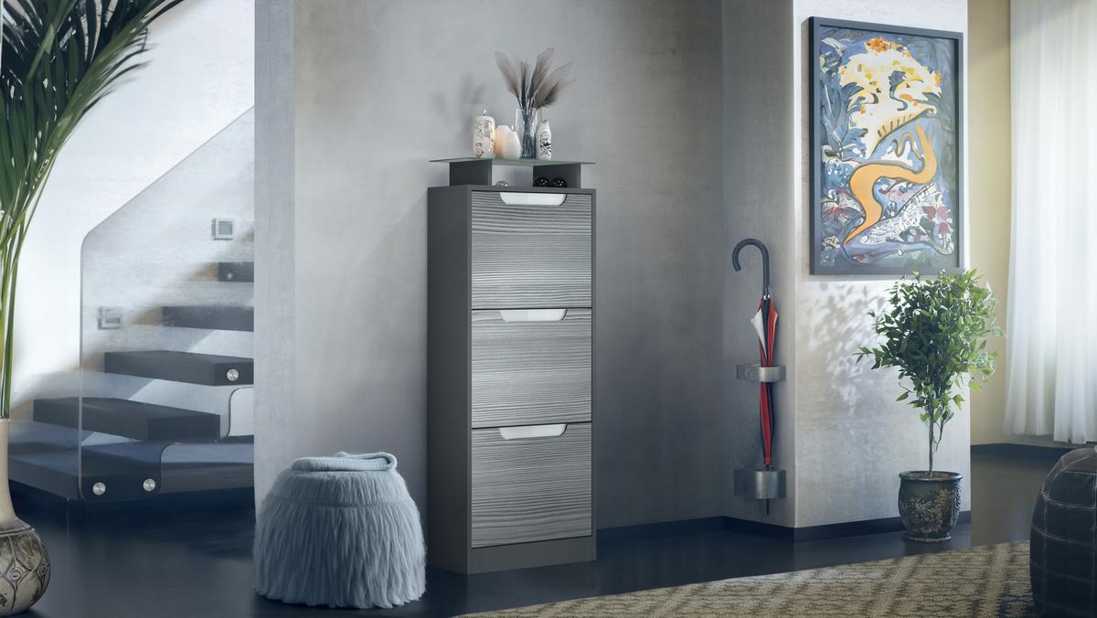 SCHUHSCHRANK Space Avola-Anthrazit - Anthrazit, Holzwerkstoff (46/128/23cm) - Vladon