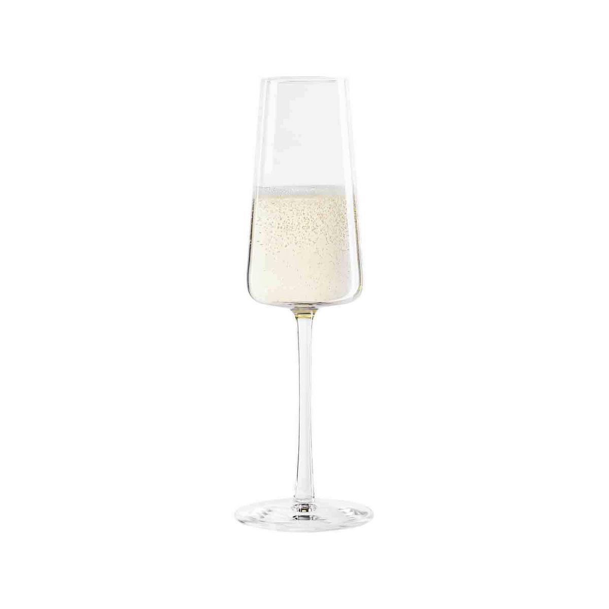CHAMPAGNERGLÄSER Power transparent 240 ml 6er Set - Transparent, Glas (0.24L) - Stölzle Lausitz