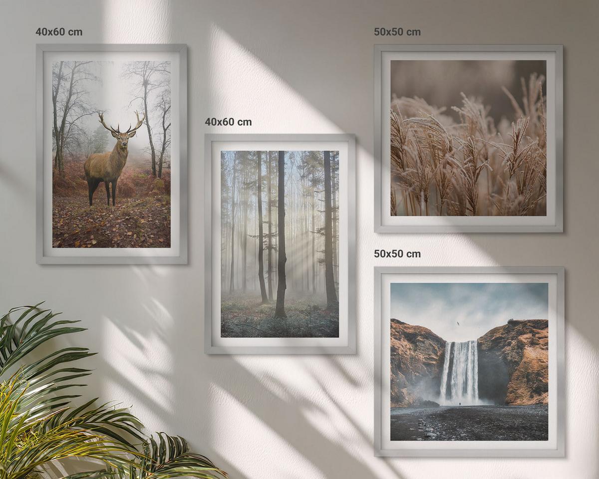 BILDER SET 4er Set - 50x50 cm & 40x60 cm Silberner Rahmen - Waldlandschaften der Wildnis - Silberfarben, Kunststoff (50/50cm) - TULUP