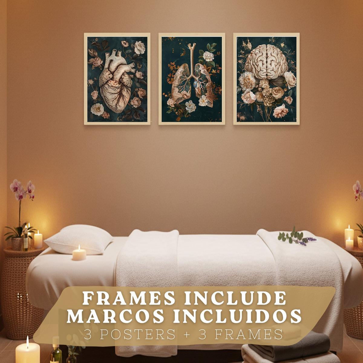 POSTER Set aus 3 Anatomie Drucke und Dekorative Wandbilder mit Herz Gehirn Lungen Atmungssystem Florales Grün Gold Design Größe Leichter Holzrahmen A3 - Beige, Papier (29.7/42/3cm) - Nacnic