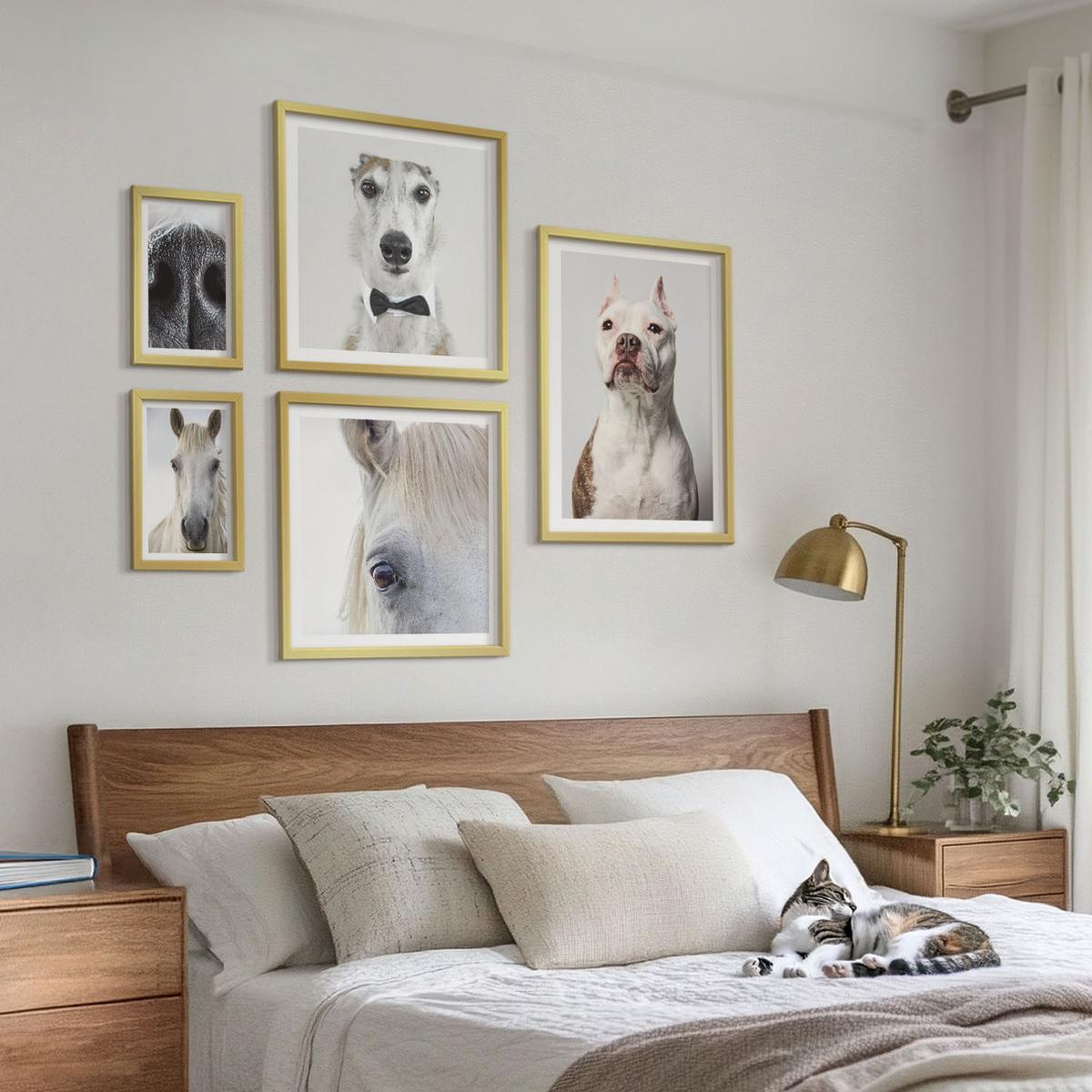 BILDER SET 5er Set - 50x50 cm & 20x30 cm & 40x60 cm Goldrahmen - Elegante Porträts von Hunden und Pferden - Goldfarben, Kunststoff (40/60cm) - TULUP