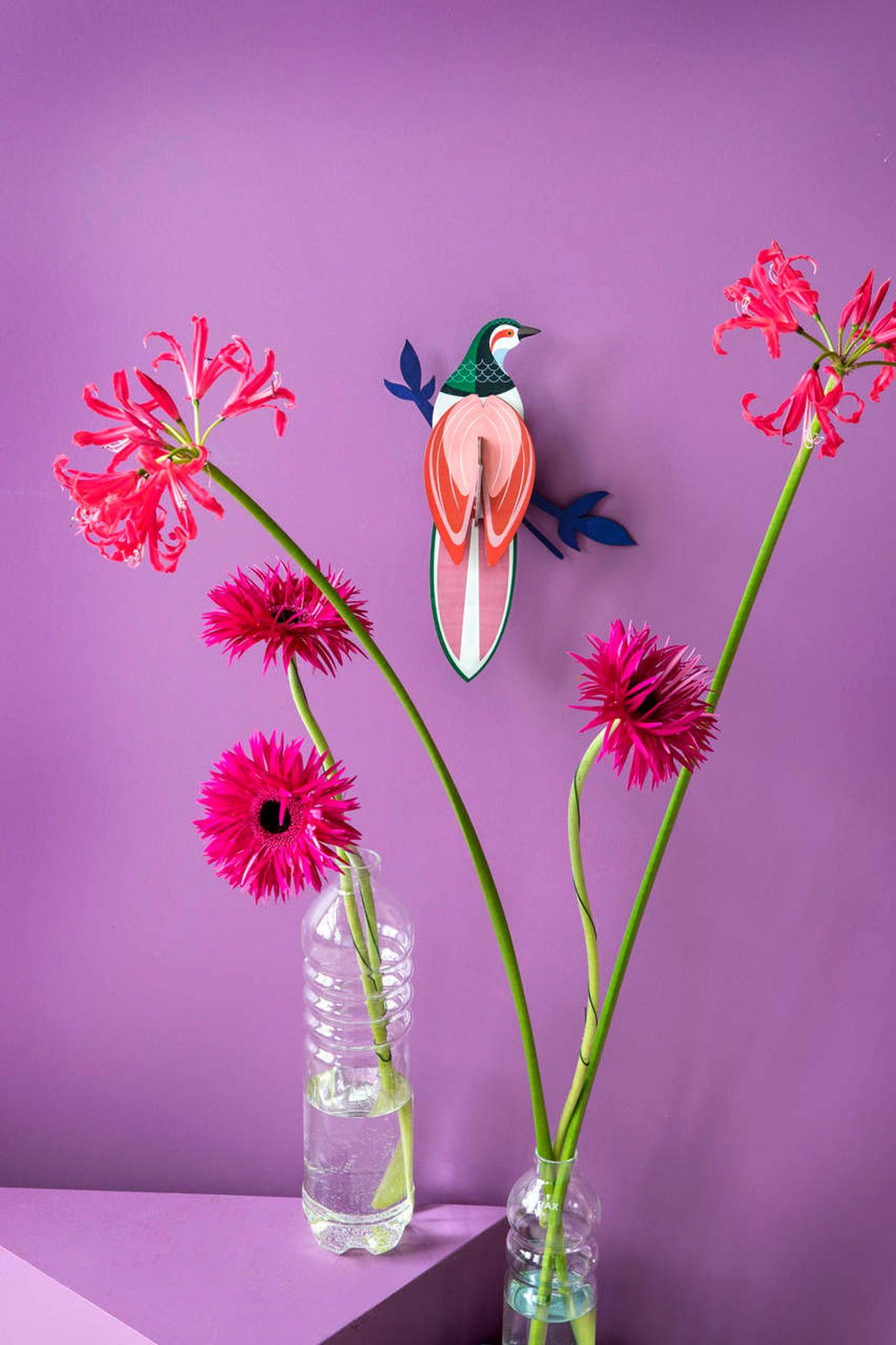 WANDDEKO Tropenvogel-Paradies 23/7 cm - Pink/Grün, Wellpappe (23/7/27cm) - Studio Roof