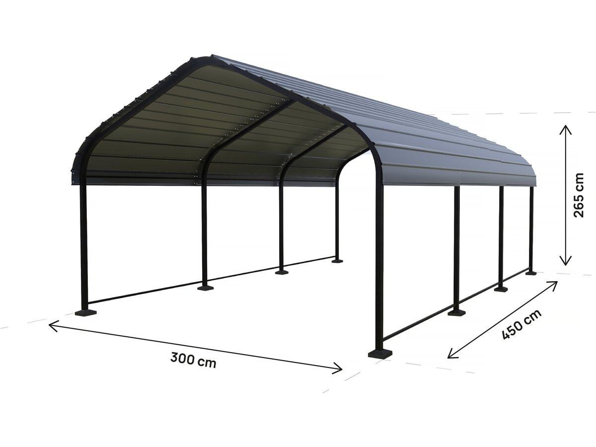CARPORT AUTO phoenix Grau - Grau, Holz (450/265/300cm) - Habitat Garten