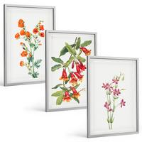 BILDER SET 3er Set - 40x60 cm Silberner Rahmen - Vintage-Retro-Blumenmalerei - Silberfarben, Kunststoff (40/60cm) - TULUP