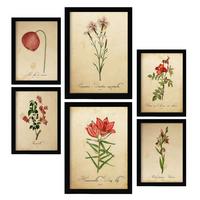 POSTER Set Mit 6 Rote Blumen Vollfarbige Natur Und Botanikdrucke Mit Blumenmotiven Im Vintage Papier Stil Innenarchitektur A3 & A4 Schwarzer Rahmen - Schwarz, Papier (29/3cm) - Nacnic