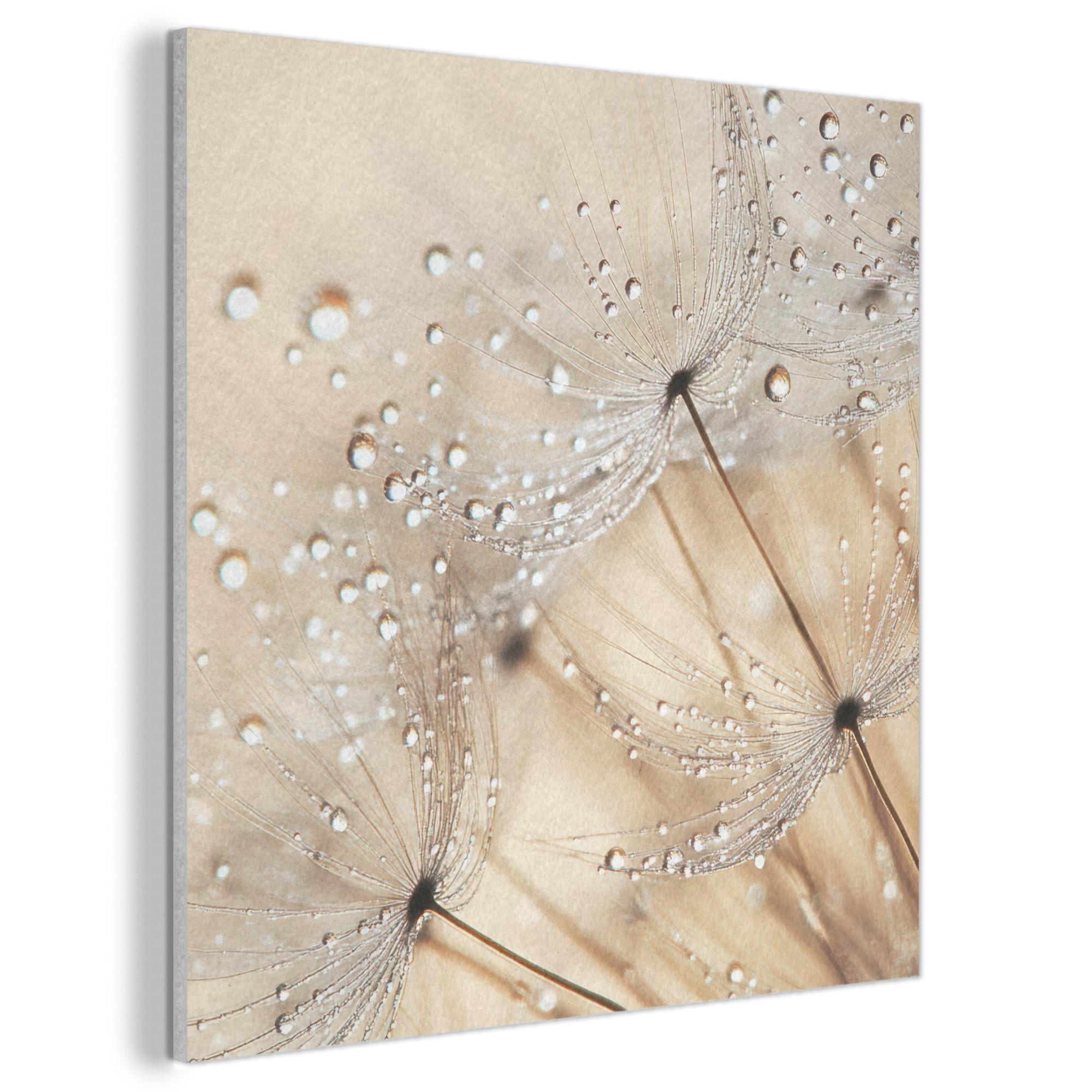 AKUSTIKBILD Löwenzahn - Abstrakt - Natur - Beige Wandbilder 60x60 cm - Braun, Kunststoff (60/60/0.9cm) - MuchoWow