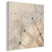 AKUSTIKBILD Löwenzahn - Abstrakt - Natur - Beige Wandbilder 60x60 cm - Braun, Kunststoff (60/60/0.9cm) - MuchoWow