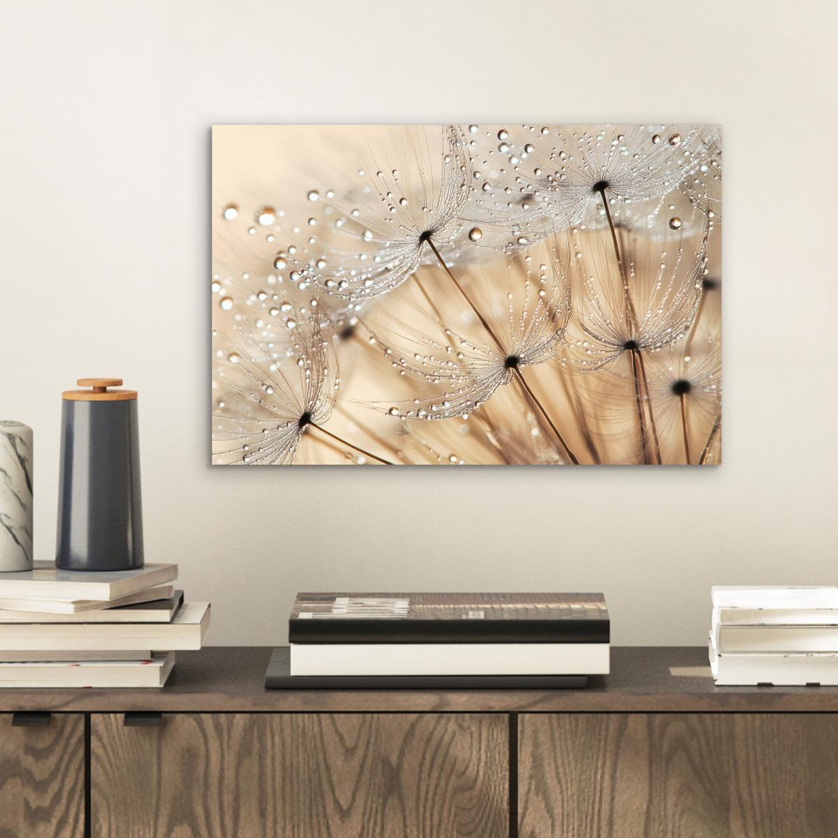 METALLBILD Löwenzahn - Abstrakt - Natur - Beige 30x20 cm - Braun, Metall (30/20cm) - MuchoWow