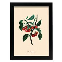 POSTER Kirschbaum A4 Schwarzer Rahmen - Schwarz, Papier (29.7/5/21cm) - Nacnic